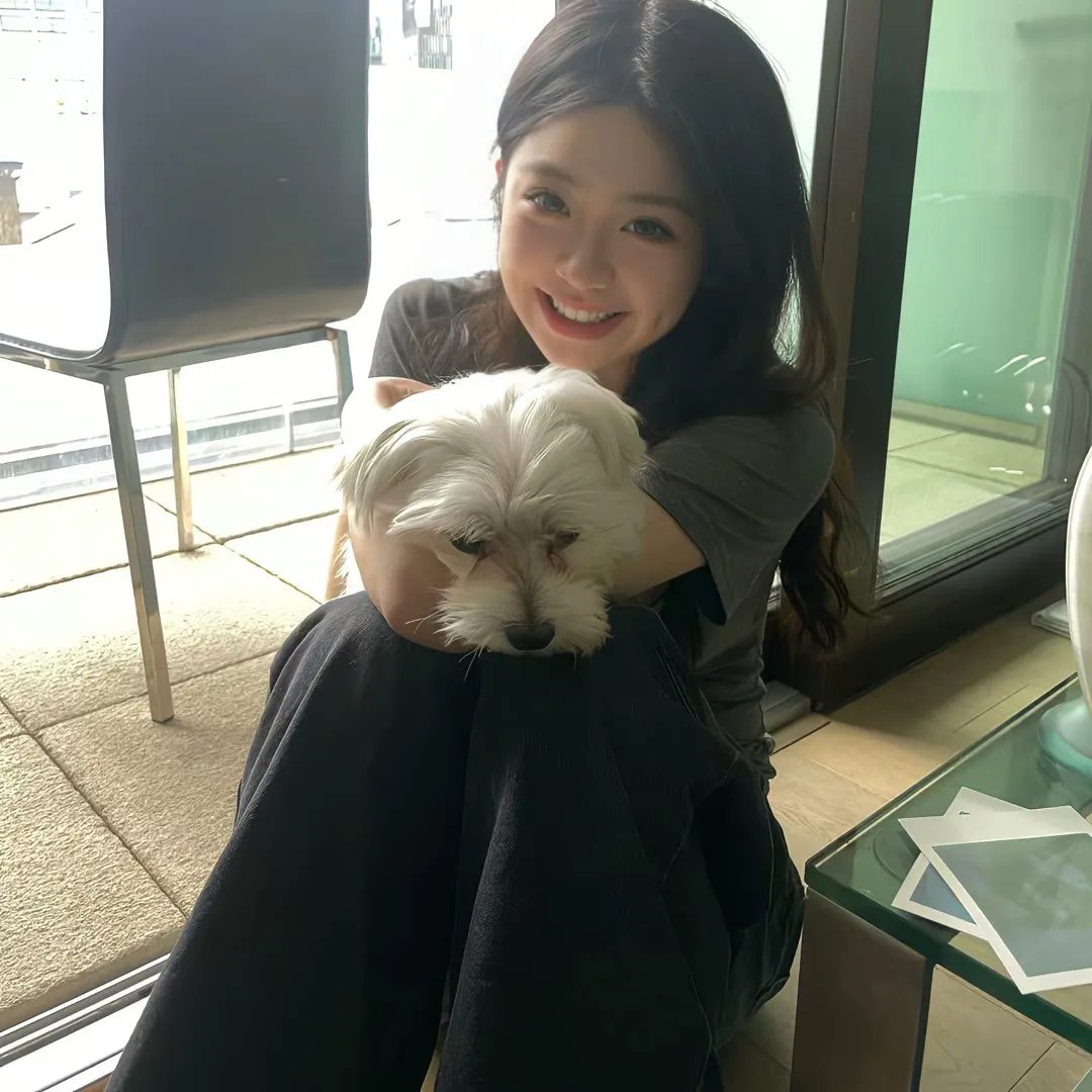 穿靴子的猫